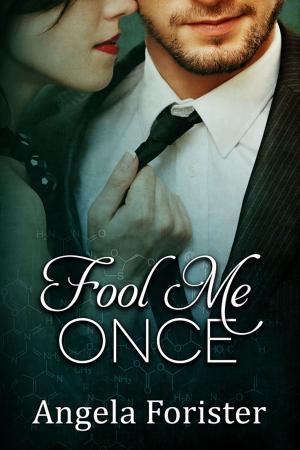 Cover of the book Fool Me Once by Raj Mirages