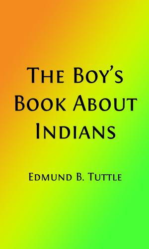 Cover of the book The Boy's Book About Indians (Illustrated Edition) by David Cory, H. S. Barbour, Illustrator