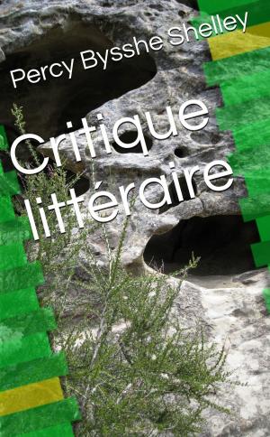 Cover of the book Critique littéraire by Léon Pamphile LeMay