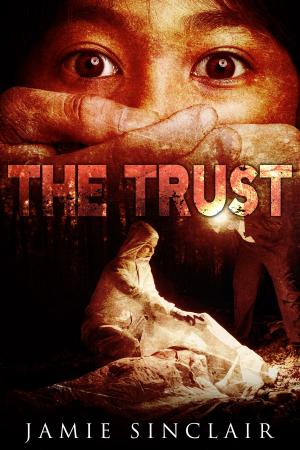 Cover of The Trust: A Detective Inspector Ashton Novel