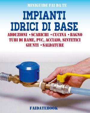 Book cover of Impianti idrici di base