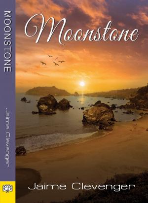 Cover of the book Moonstone by Genevieve Fortin