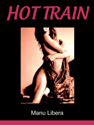 Cover of the book Hot train by Manu Libera