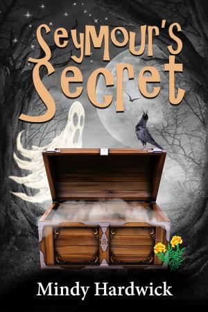 Cover of the book Seymour's Secret by Lauren Salem