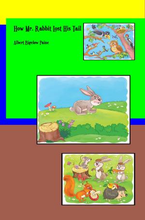 bigCover of the book How Mr Rabbit Lost His Tail (Illustrated) by 