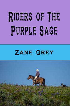 Book cover of Riders of the Purple Sage (Illustrated)