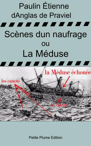 Cover of the book Scènes d'un naufrages ou La Méduse - nouvelle et dernière relation du naufrage de la Méduse by Edmond About