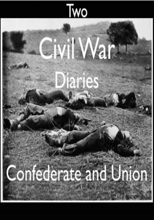 Cover of the book Two Civil War Diaries by Work Projects Administration