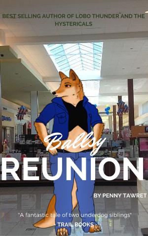 Cover of the book Ballsy Reunion by Frank Hajek