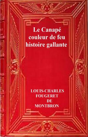 Book cover of Le Canapé couleur de feu, Histoire galante