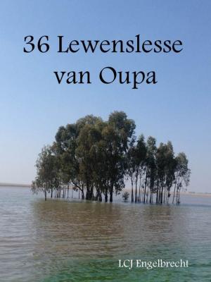 Cover of the book 36 Lewenslesse by K.O. Schmidt