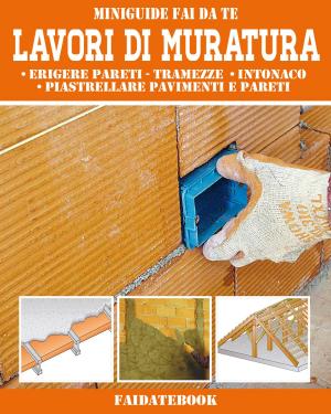 Book cover of Lavori di Muratura