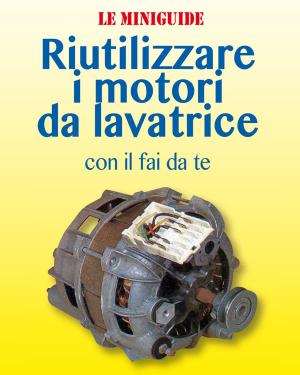 Book cover of Riutilizzare i motori da lavatrice