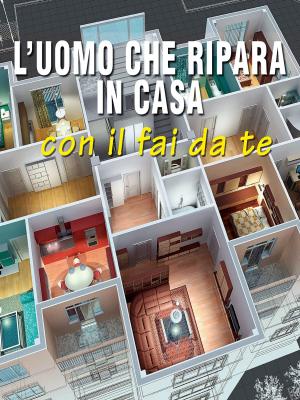 Cover of the book L'uomo che ripara in casa by Laura Nieddu