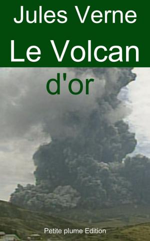 Book cover of Le Volcan d'or
