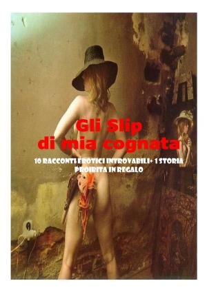 Cover of Gli Slip di mia cognata