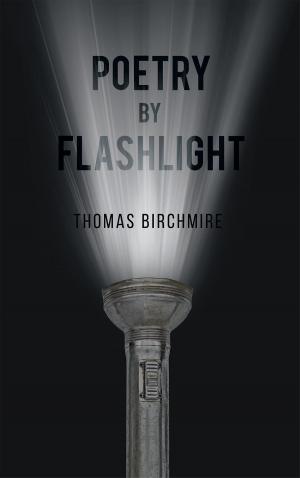 Cover of the book Poetry by Flashlight by Larry Brown