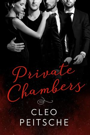 Cover of the book Private Chambers by K. Lyn Kennedy