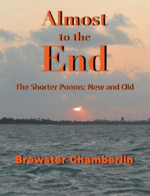 Cover of the book Almost to the End by Frank Holtzer