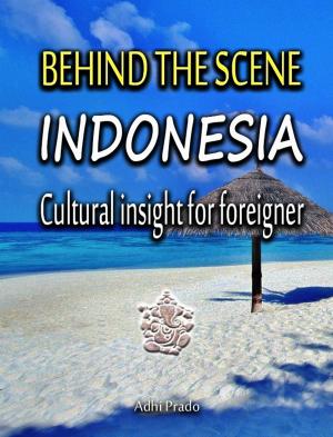 Cover of the book Indonesia Behind the Scene by 藤田 啓介