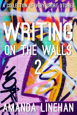 Book cover of Writing On The Walls 2