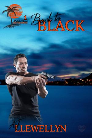 Cover of the book Back to Black by Nina R. Schluntz