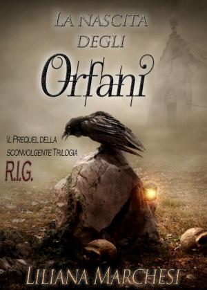 Cover of La nascita degli Orfani