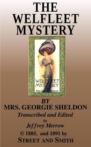 Cover of the book The Welfleet Mystery by Azel Stevens Roe