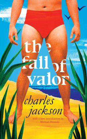 Cover of the book The Fall of Valor by Christopher Priest