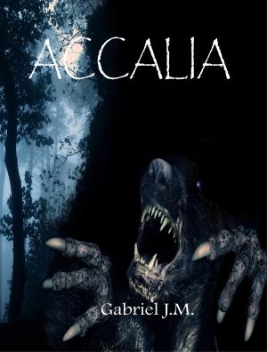 Cover of the book Accalia by Shawn Thompson