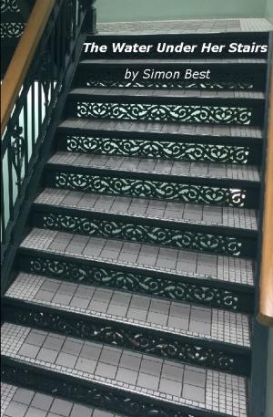 Cover of the book The Water Under Her Stairs by Katherine Pine