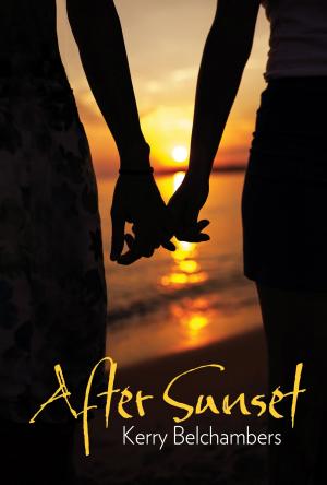 Cover of the book After Sunset by Barbara L. Clanton