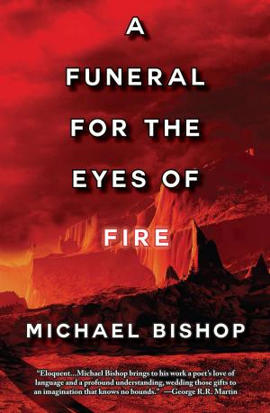 Cover of the book A Funeral for the Eyes of Fire by Jessie Kwak