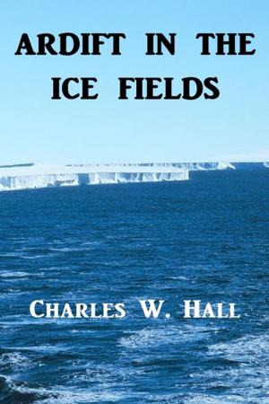Cover of the book Adrift in the Ice Fields by Fergus Hume
