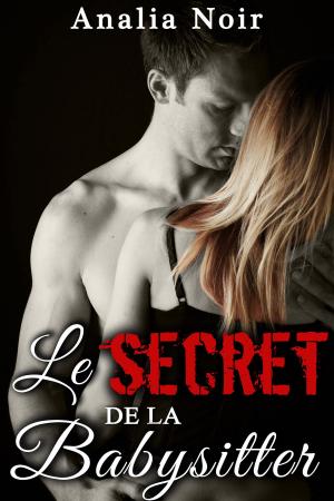 Cover of Le Secret de la Babysitter