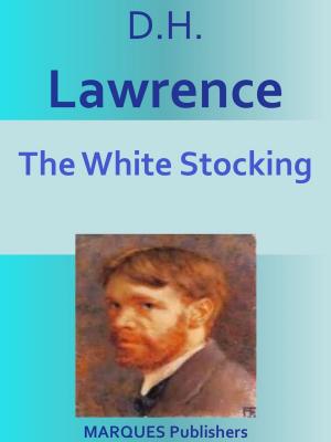 Book cover of The White Stocking