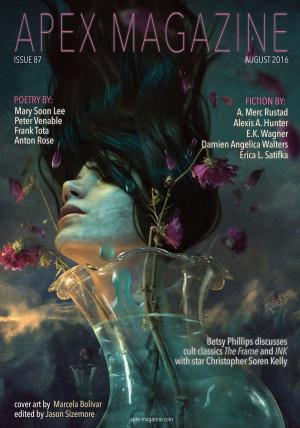 Cover of the book Apex Magazine Issue 87 by Lynne M. Thomas, John Klima, Michael Damian Thomas