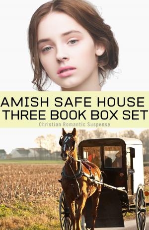 Cover of the book Amish Safe House 3 Book Box Set by Lynda Wilcox