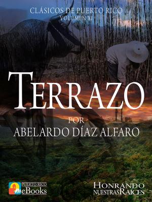 bigCover of the book Terrazo by 