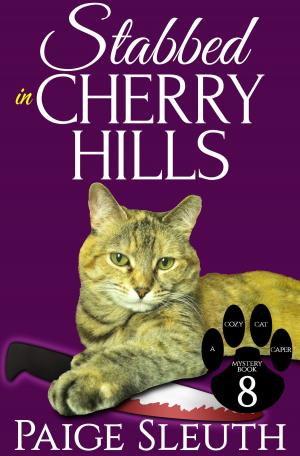 Cover of the book Stabbed in Cherry Hills by Marla Bradeen