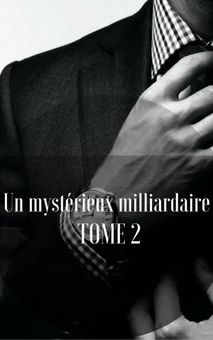 Book cover of Un mystérieux milliardaire