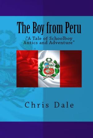 bigCover of the book The Boy from Peru by 