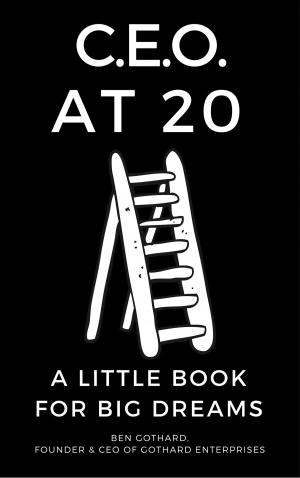 Cover of the book CEO at 20: A Little Book for Big Dreams by Norair Yeretsian