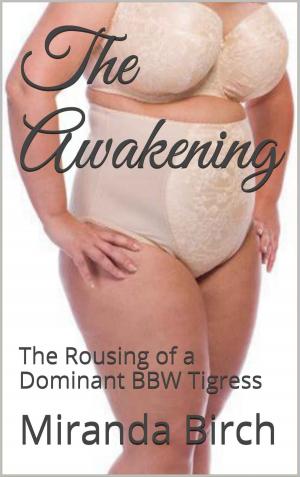Cover of the book The Awakening by Brian McClellan