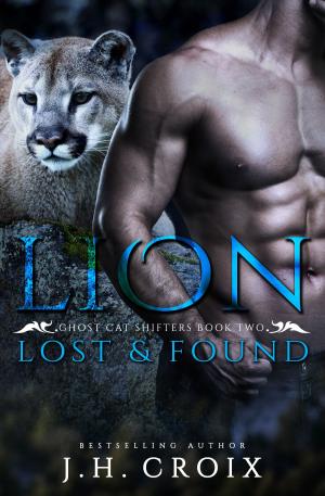 Cover of the book Lion Lost & Found by Luanne Bennett