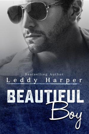 Cover of the book Beautiful Boy by Catherine Steiner-Adair EdD., Teresa H. Barker