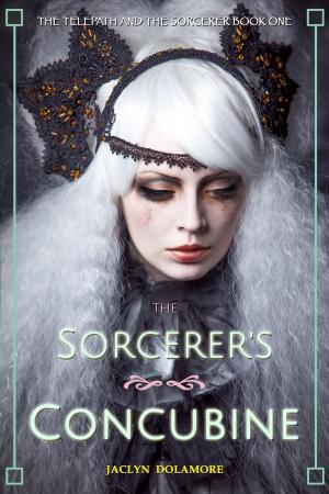 Cover of the book The Sorcerer's Concubine by J.T. Williams