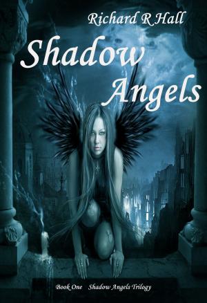 Cover of the book Shadow Angels by Clifton Hill
