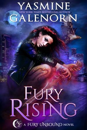 Cover of the book Fury Rising by Yasmine Galenorn