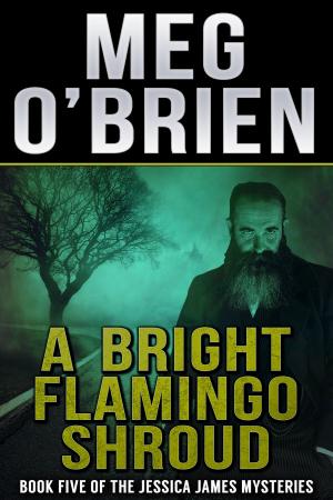 Cover of the book A Bright Flamingo Shroud by Janet B. Milstein